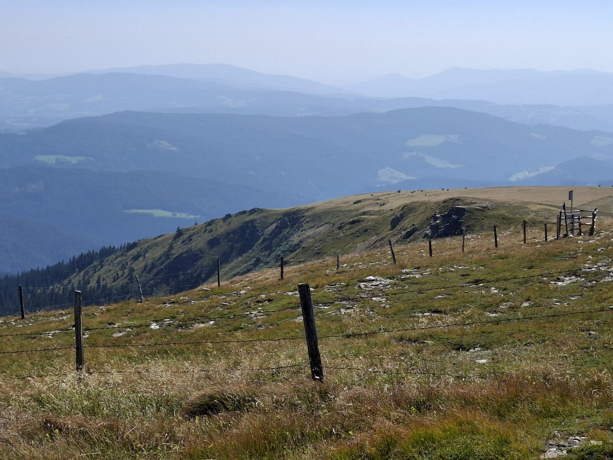 dagmarkuntscher🌳🌼🐾📚 📷 (@dagmarkuntscher) on Twitter photo 
