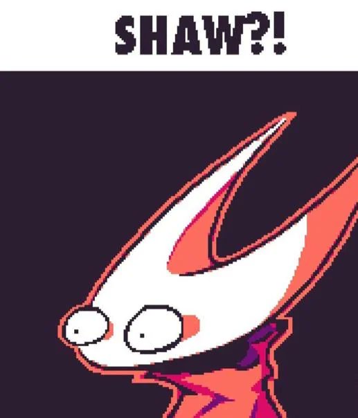 Nicolas Lince tweet media