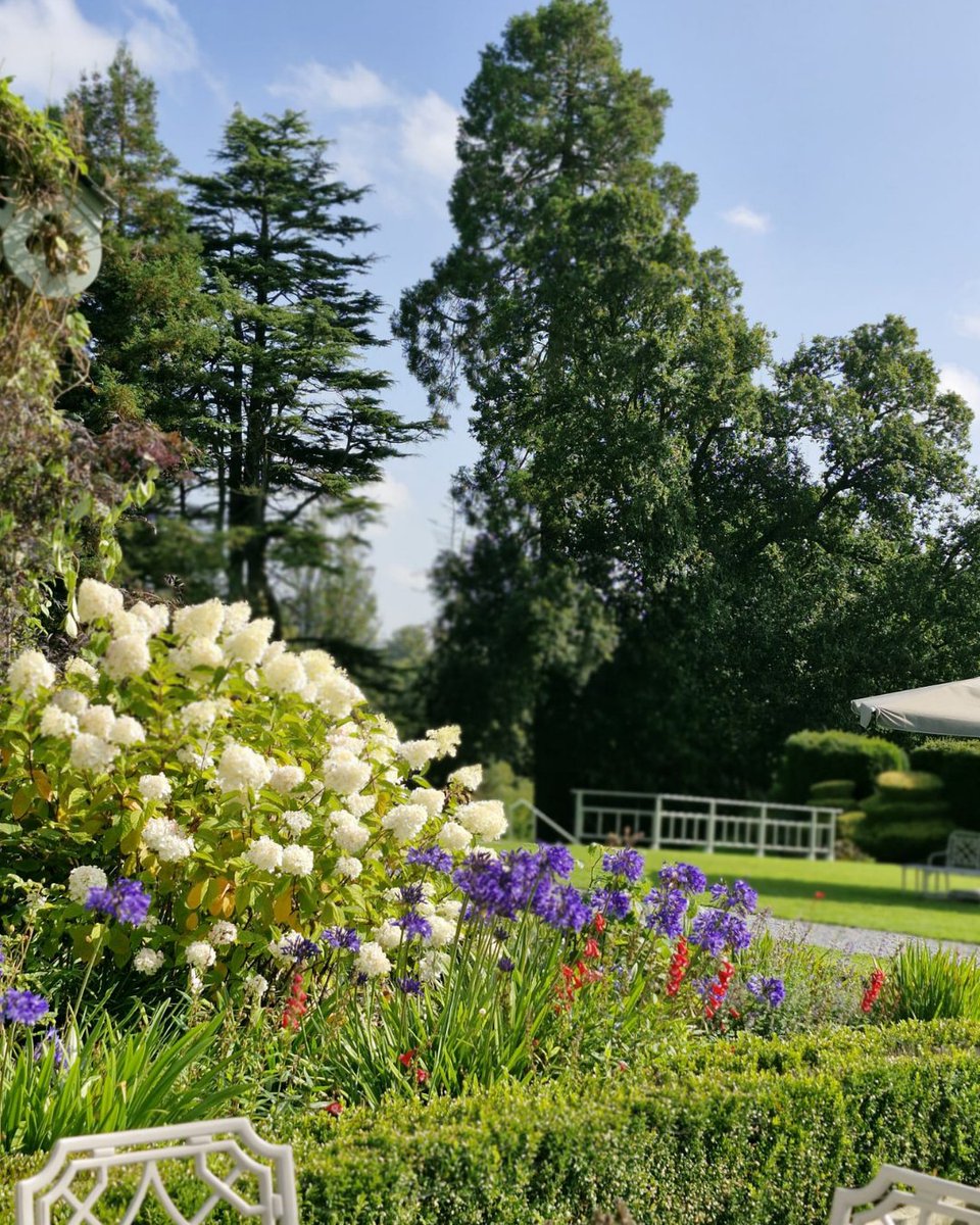 Virginia Park Lodge tweet media