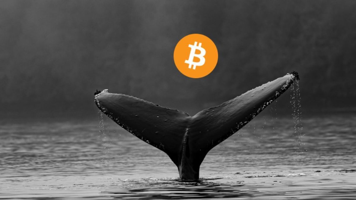 uexswap's tweet photo. Whales choose https://t.co/LkkcsXDA1Q!

Why, you ask? You can save up to $3,000 when trading 1 $BTC on UEX compared to similar platforms.

Get the best rates with the non-custodial UEXSwap platform. https://t.co/AtZzubAvN9