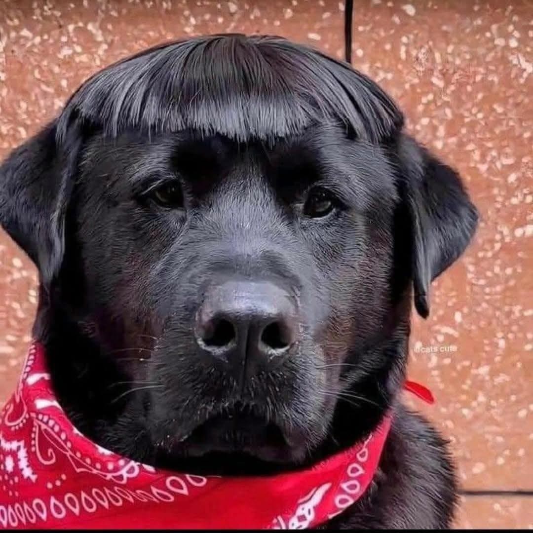 Яармагын түгжрэлийг давж 6н цагийн дараа гэртээ ирсэн давсгаараа бахархчихлаа