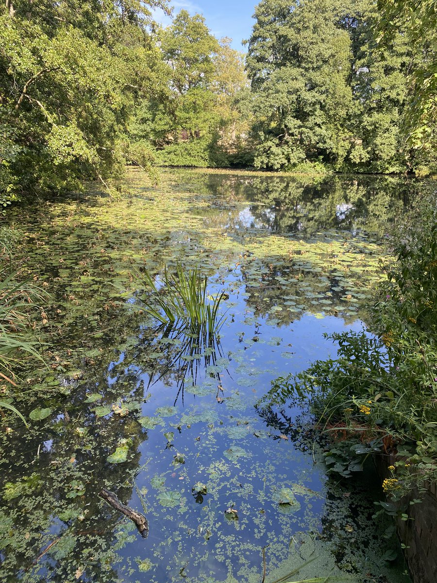 AlisonL43733634's tweet photo. What a fabulous gift from my Book Club for my 60th birthday in Feb - it just keeps on giving 😆🤗
@nationaltrust #BaddesleyClinton @sowarwickshire
#FantasticDaysOut https://t.co/Iovxx1Fo9Q