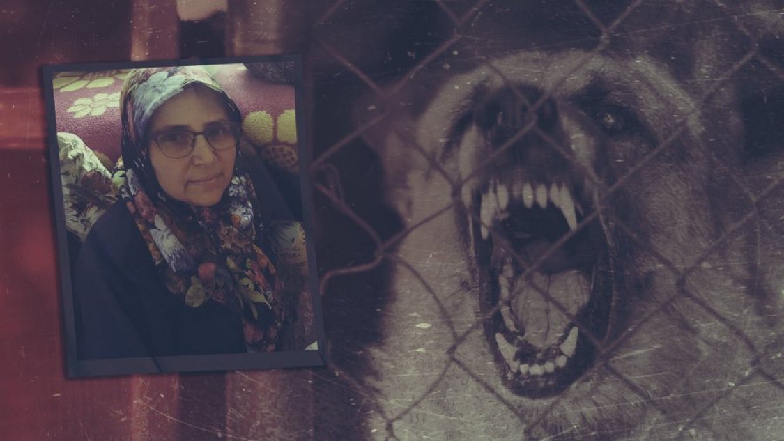 İzmir'de başıboş köpeklerden kaçarken otomobilin çarptığı kadın hayatını kaybetti.