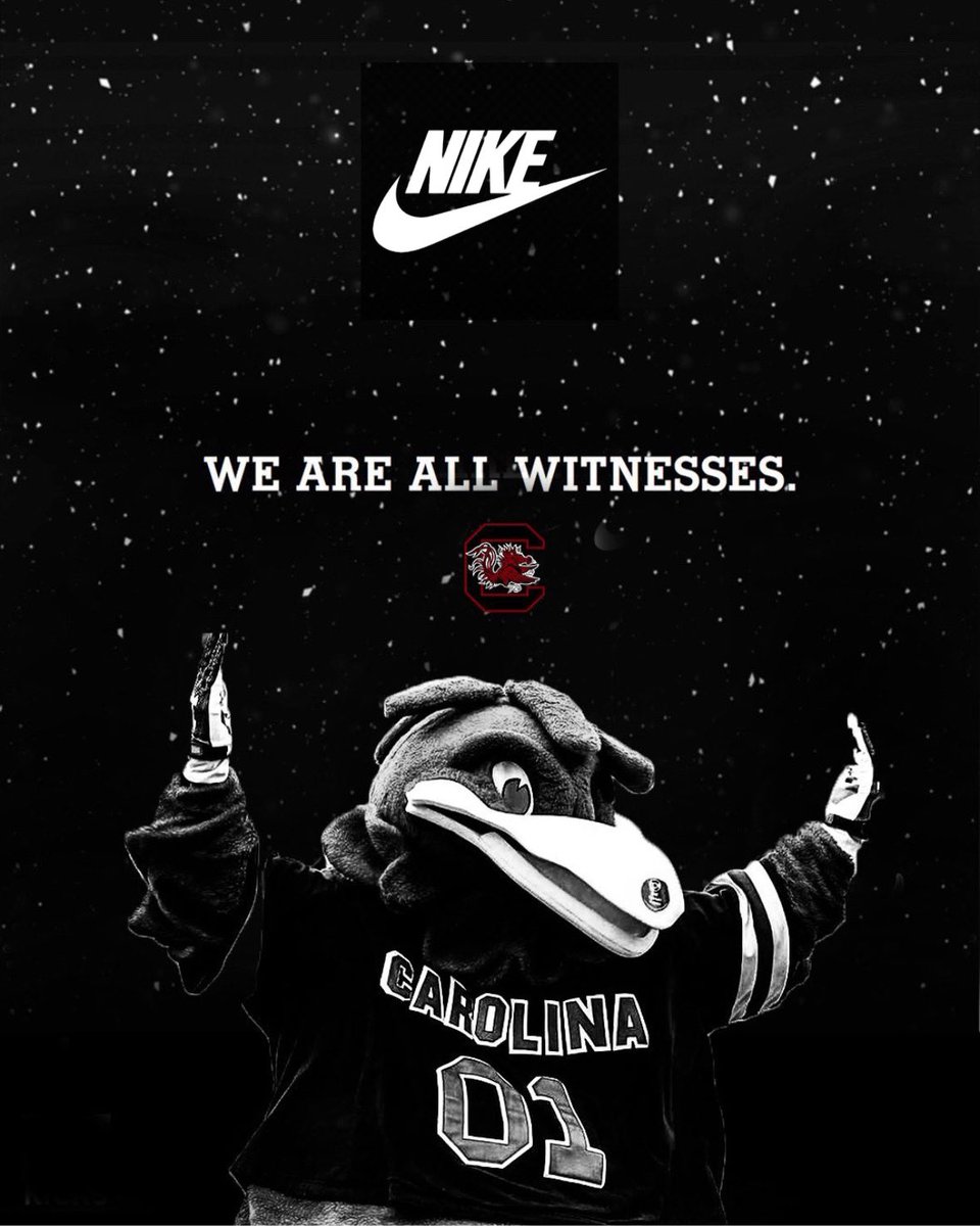 Coming in 2026.