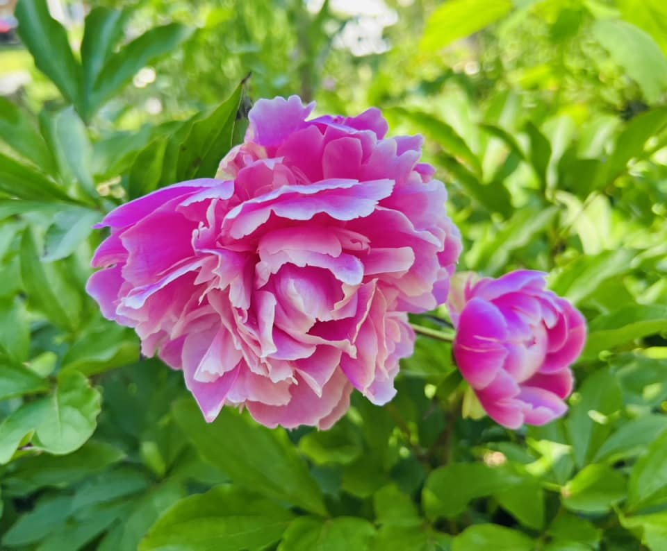 Michael Lee Rilee (@lee_rilee5mike) on Twitter photo 