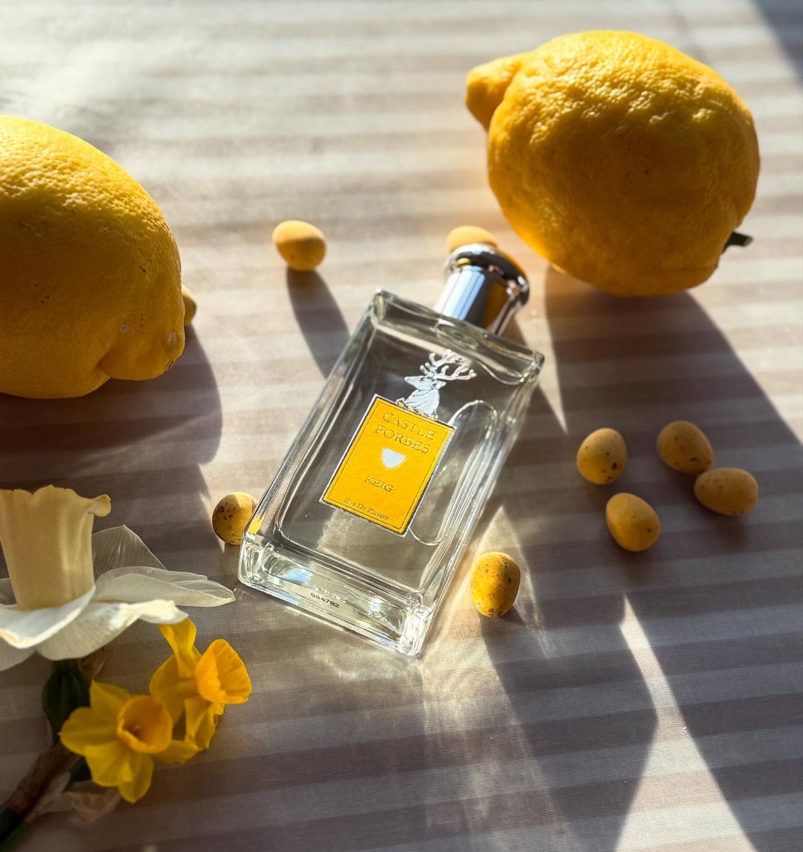 Named for the proud hamlet where the Forbes Clan's castle was erected, the Castle Forbes Keig Eau de Parfum is a truly original fragrance. 

Available here: ow.ly/Hhyq50WGPYI

#mensgrooming #mensstyle #mensfragrances #CastleForbes #madeinScotland #Fendrhan