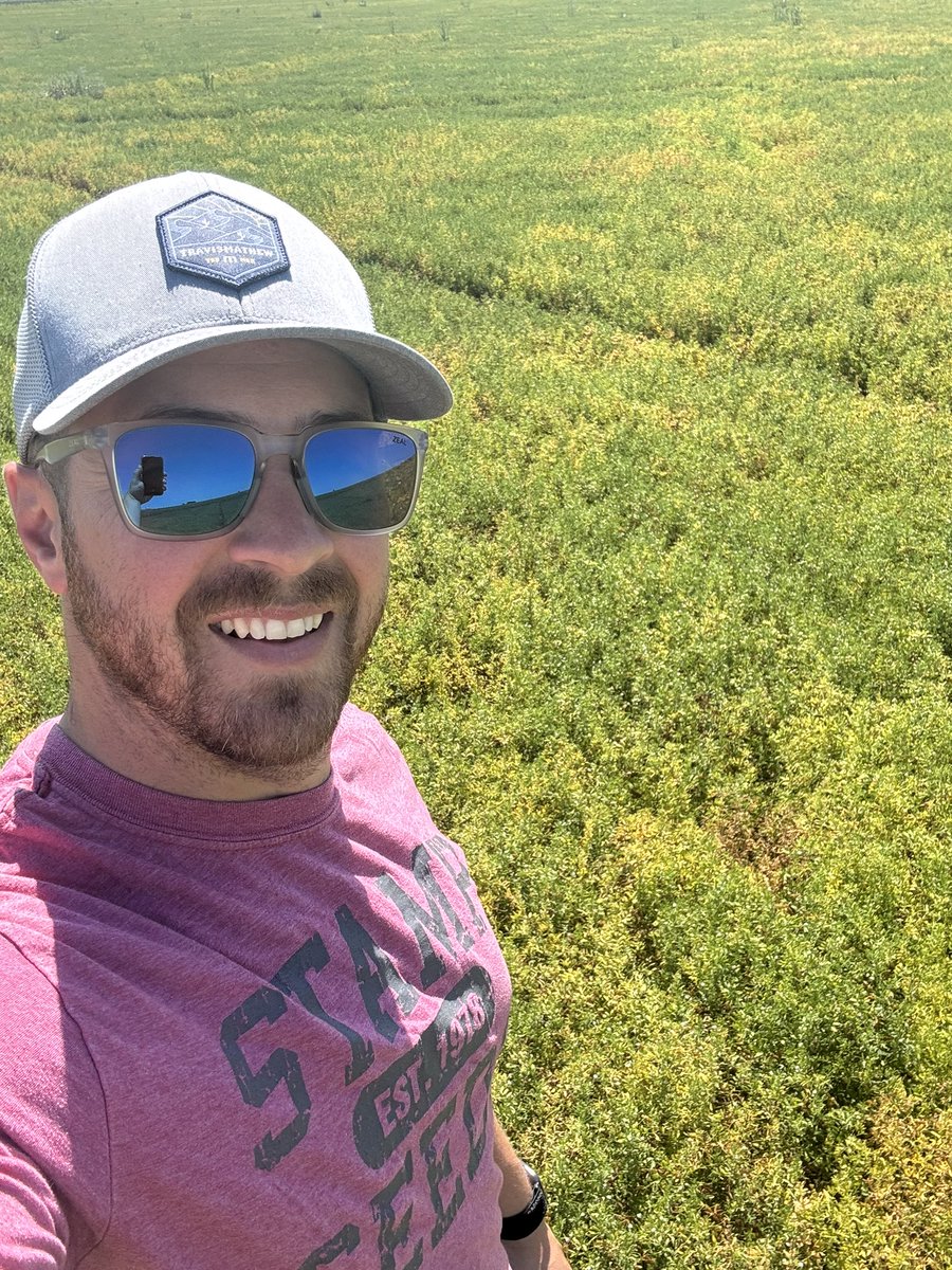 blairbalog's tweet photo. CDC Proclaim CL, this variety has been amazing for us. Top yields, great seed size and handles those drier conditions very well! @Stampseeds https://t.co/tngGmdbLZT