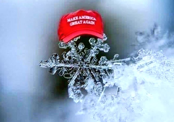 asclepiasyriaca's tweet photo. Cracker Barrel: updates its logo 

MAGA: https://t.co/vs3LVbrw4I