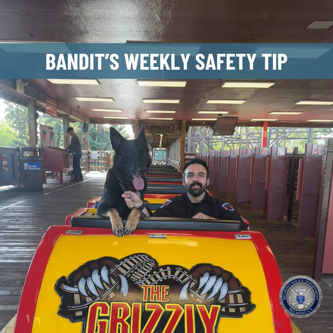 Belmont Police Dept. tweet media