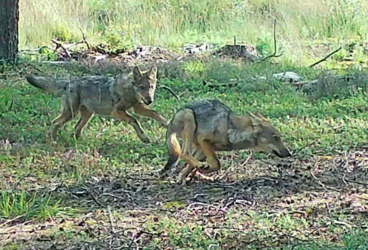 Egbert Post tweet media