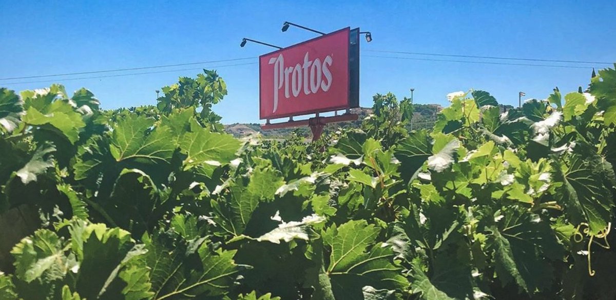 Terminamos el día en uno de nuestros lugares favoritos: el viñedo 🍇❤️