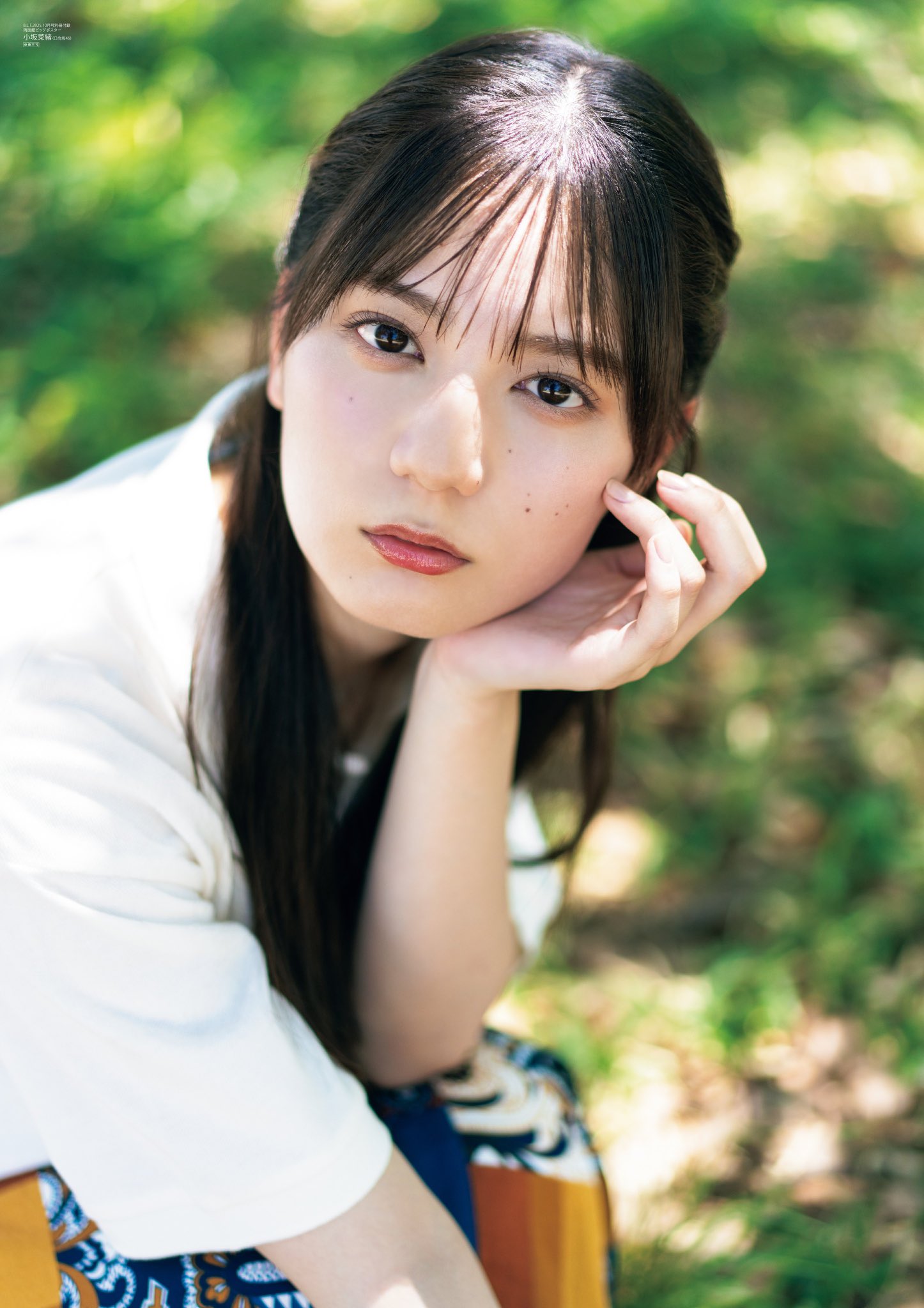 小坂菜緒 チェキ 2025年正月エール 小坂菜緒 12種コンプ 2025新春 振袖 夏フェス 巫女