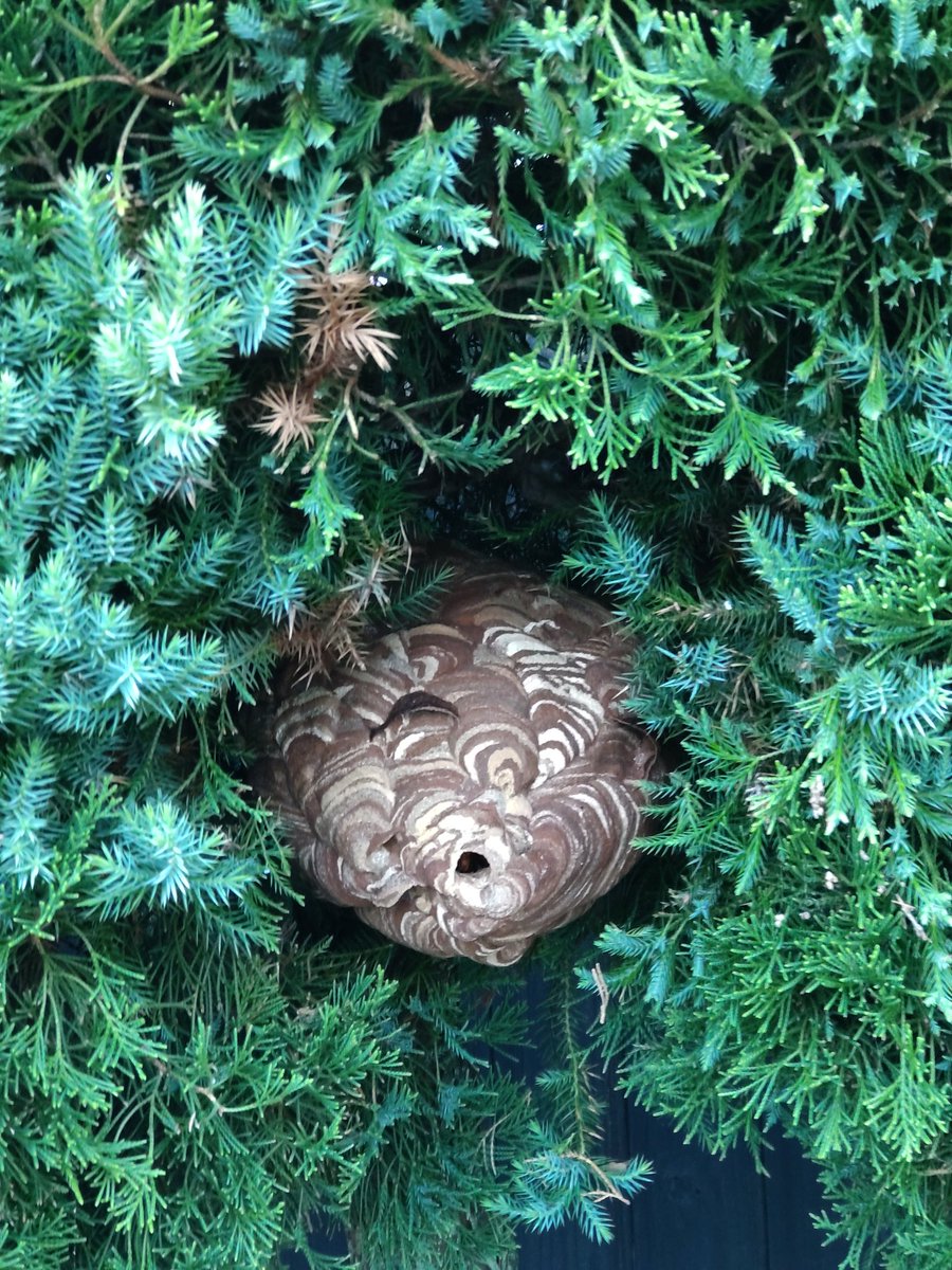 おい、いつ作ったんだい？