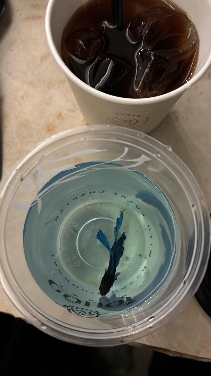 🍀🏺🐟