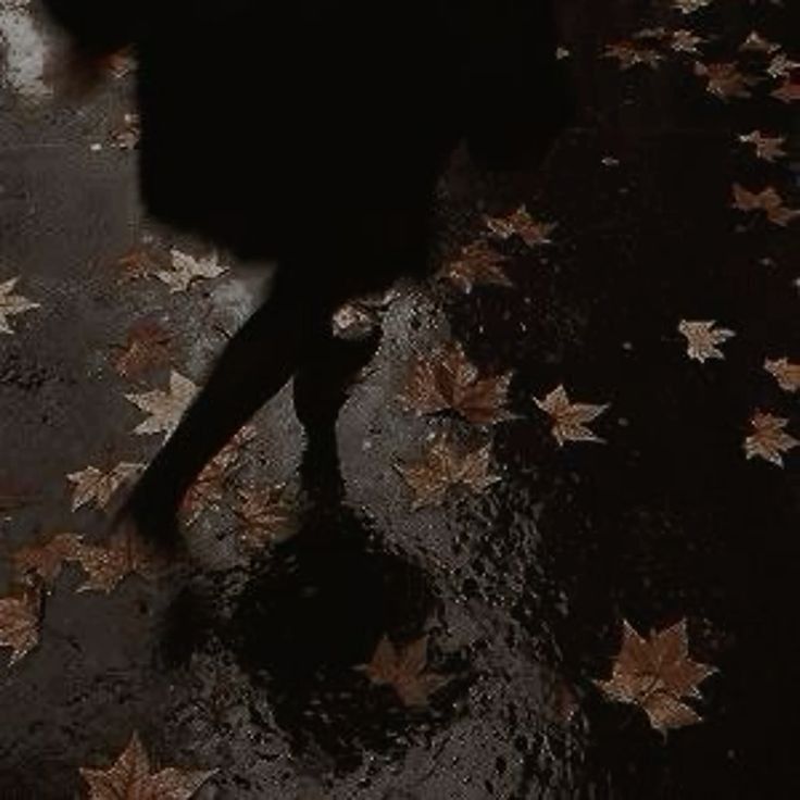 🖤🖤🖤
The 'Ber months are coming...
