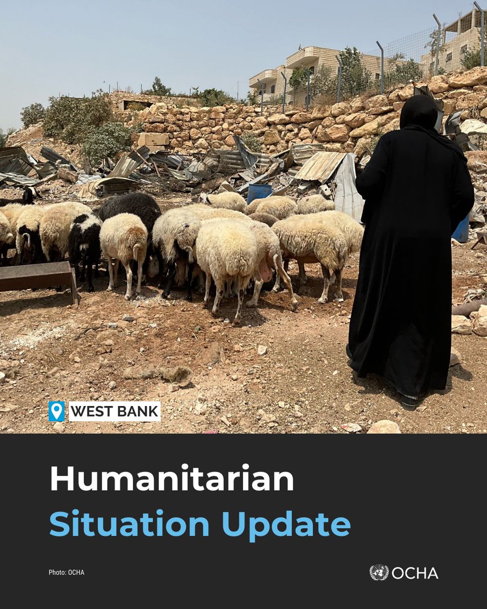In the #WestBank, 18 Palestinian communities are at heightened displacement risk as the Israeli government advances the E1 settlement plan.

Between 12 and 18 August, we documented 29 Israeli settler attacks resulting in casualties or damage.

Read more: ochaopt.org/content/humani…