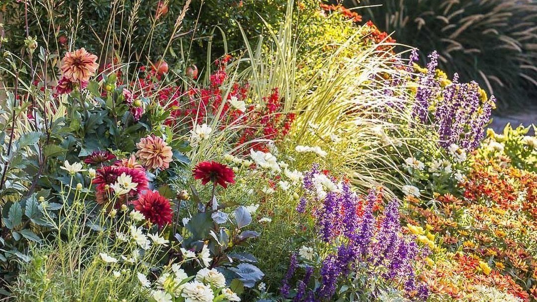 greenvibe's tweet image. Native Wildflower Gardens