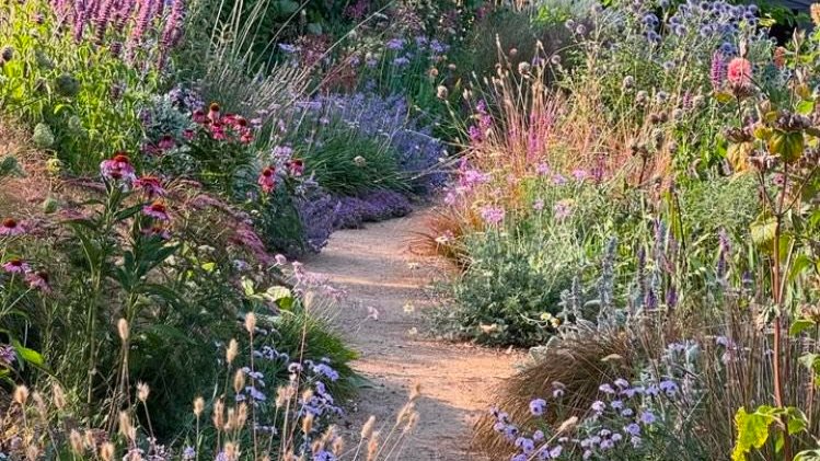 greenvibe's tweet image. Native Wildflower Gardens