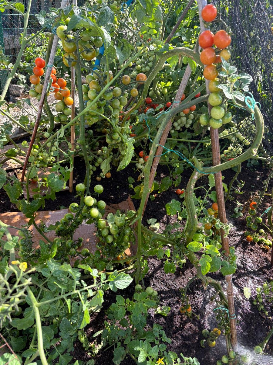 Community Heart tweet media