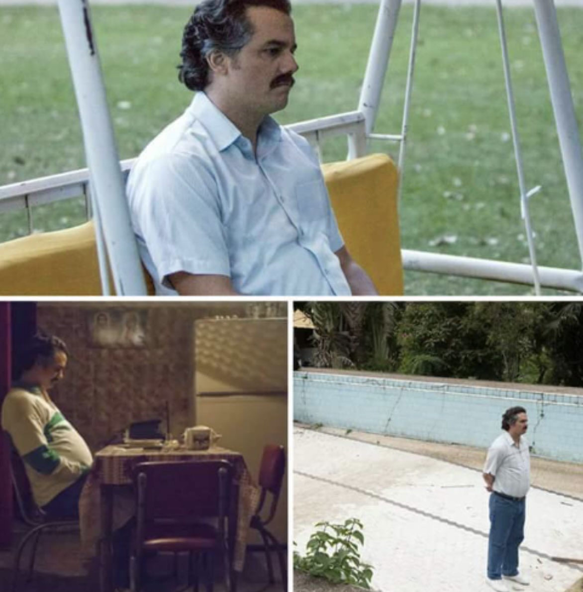 #1 VIP Rewards tweet media