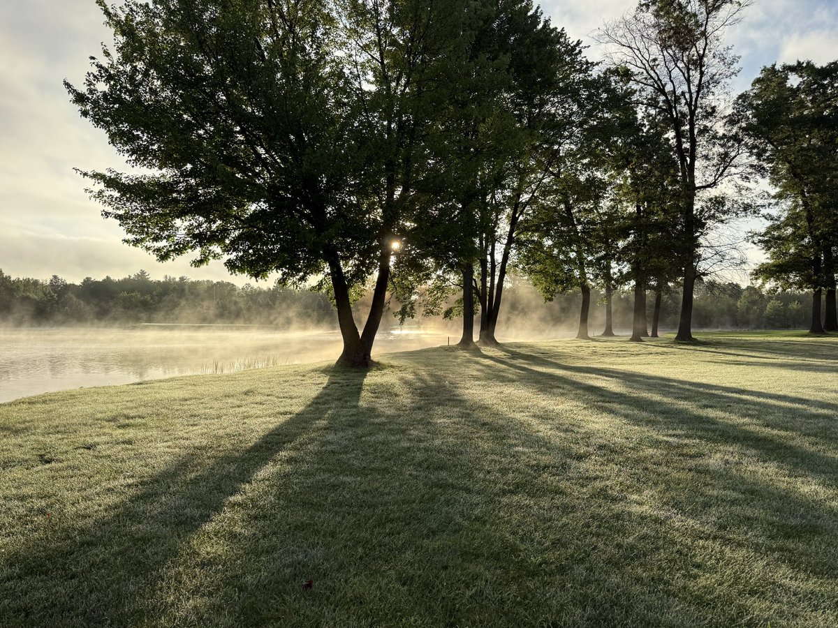 Jake_Turf's tweet image. August (so far).  Cooler temps on the way, and lots of maples already turning colors.