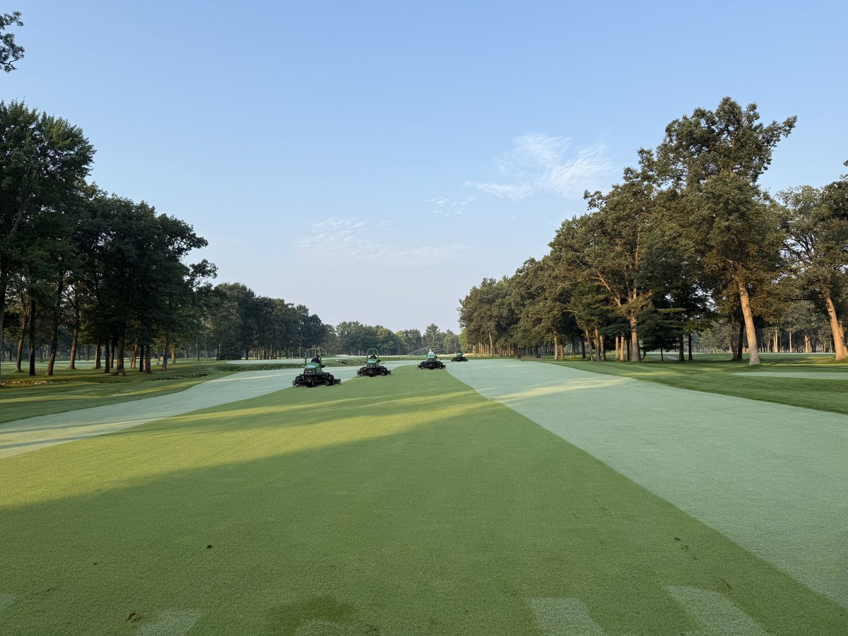 Jake_Turf's tweet image. August (so far).  Cooler temps on the way, and lots of maples already turning colors.