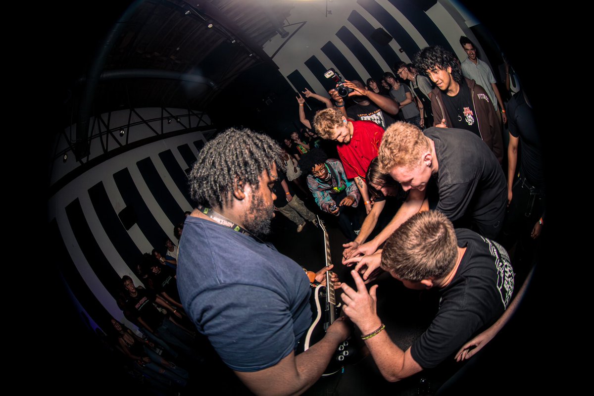 LoogieTanuki tweet media