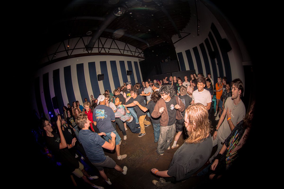 LoogieTanuki tweet media