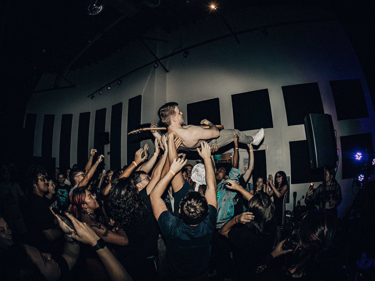 LoogieTanuki tweet media