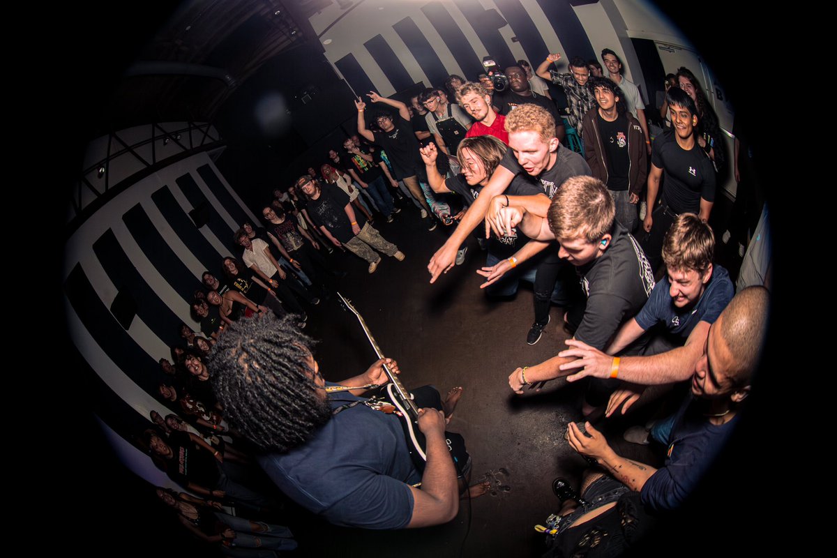 LoogieTanuki tweet media