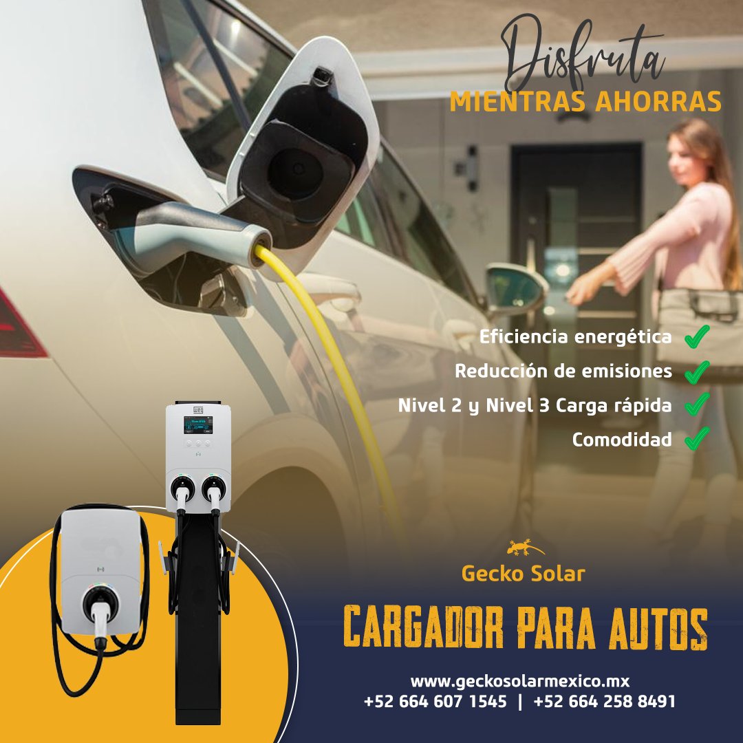 Gecko Solar Energy tweet media