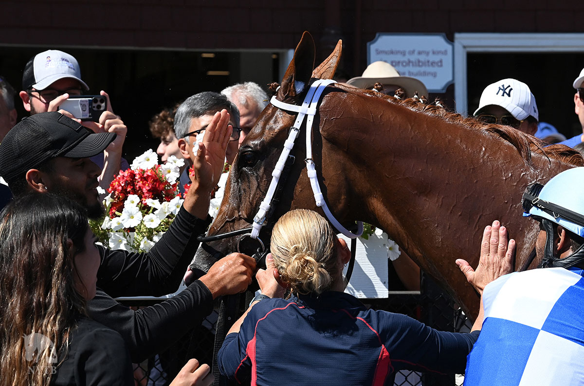 NYTB (@nytbreeders) on Twitter photo The newest #NYbred stakes winner is Vehemente! Hibiscus Stables bred the <a href="/WaldorfFarm/">Waldorf Farm NY</a>-born sophomore, who took #Saratoga's Fleet Indian. <a href="/KendrickCarmou1/">Kendrick Carmouche</a> guided her home for <a href="/TheIntlEquine/">International Equine</a> and <a href="/mjsharp75_joe/">Joe Sharp / JSR Racing ⚪️🔴⚫️🏇🏻</a>. Full recap: tinyurl.com/2p8yvjbm The newest #NYbred stakes winner is Vehemente! Hibiscus Stables bred the <a href="/WaldorfFarm/">Waldorf Farm NY</a>-born sophomore, who took #Saratoga's Fleet Indian. <a href="/KendrickCarmou1/">Kendrick Carmouche</a> guided her home for <a href="/TheIntlEquine/">International Equine</a> and <a href="/mjsharp75_joe/">Joe Sharp / JSR Racing ⚪️🔴⚫️🏇🏻</a>. Full recap: tinyurl.com/2p8yvjbm