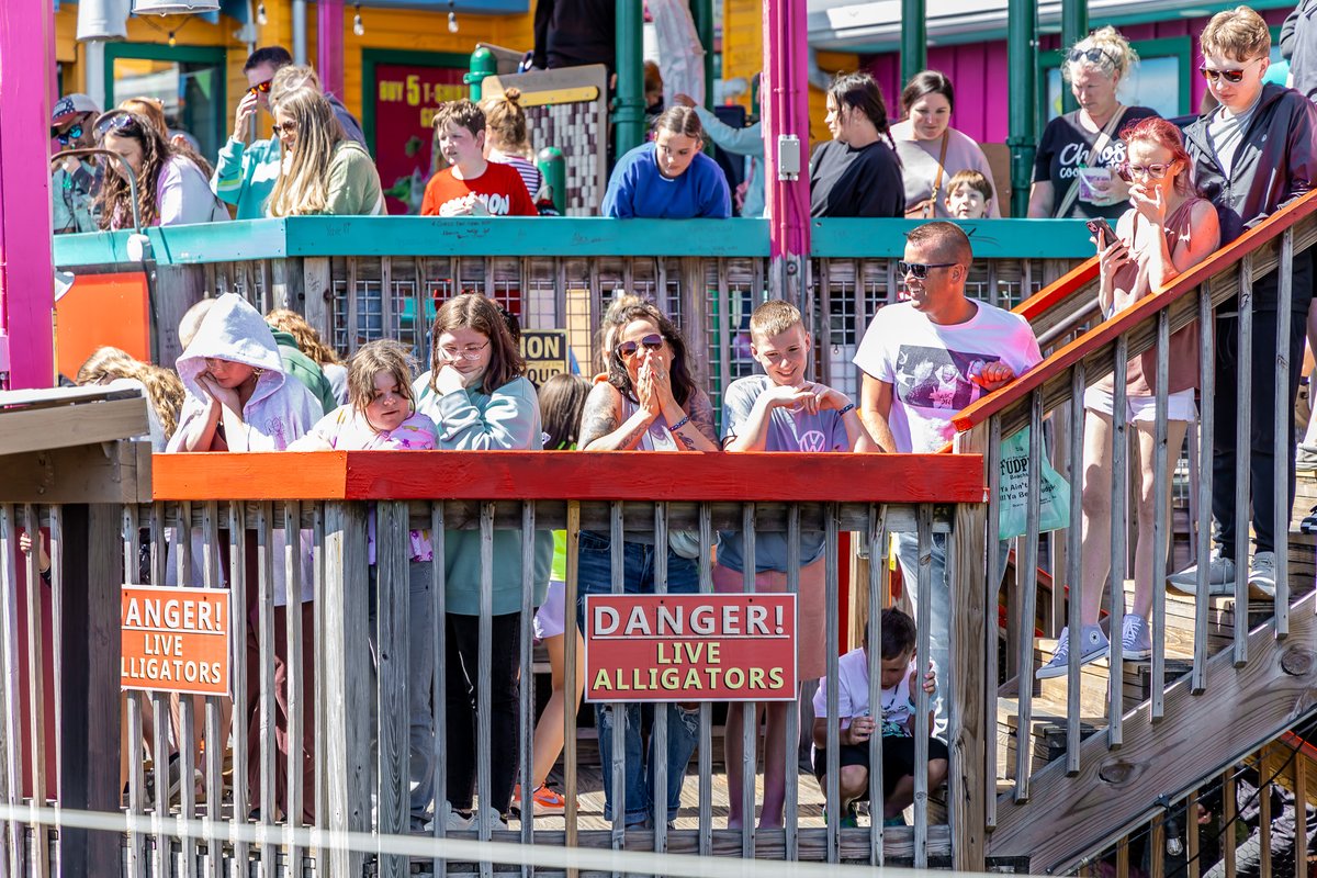 Hold on to your seats, it’s smiles, laughs, and a little bit of wild at our Gator Shows! 🐊🔥 See the excitement live, every day at Gator Beach.

#GatorBeach #Florida #Fudpuckers #LiveGators #GatorPark #Destin #ToDoInDestin #GatorShow #Alligators #FunInDestin #FamilyFun
