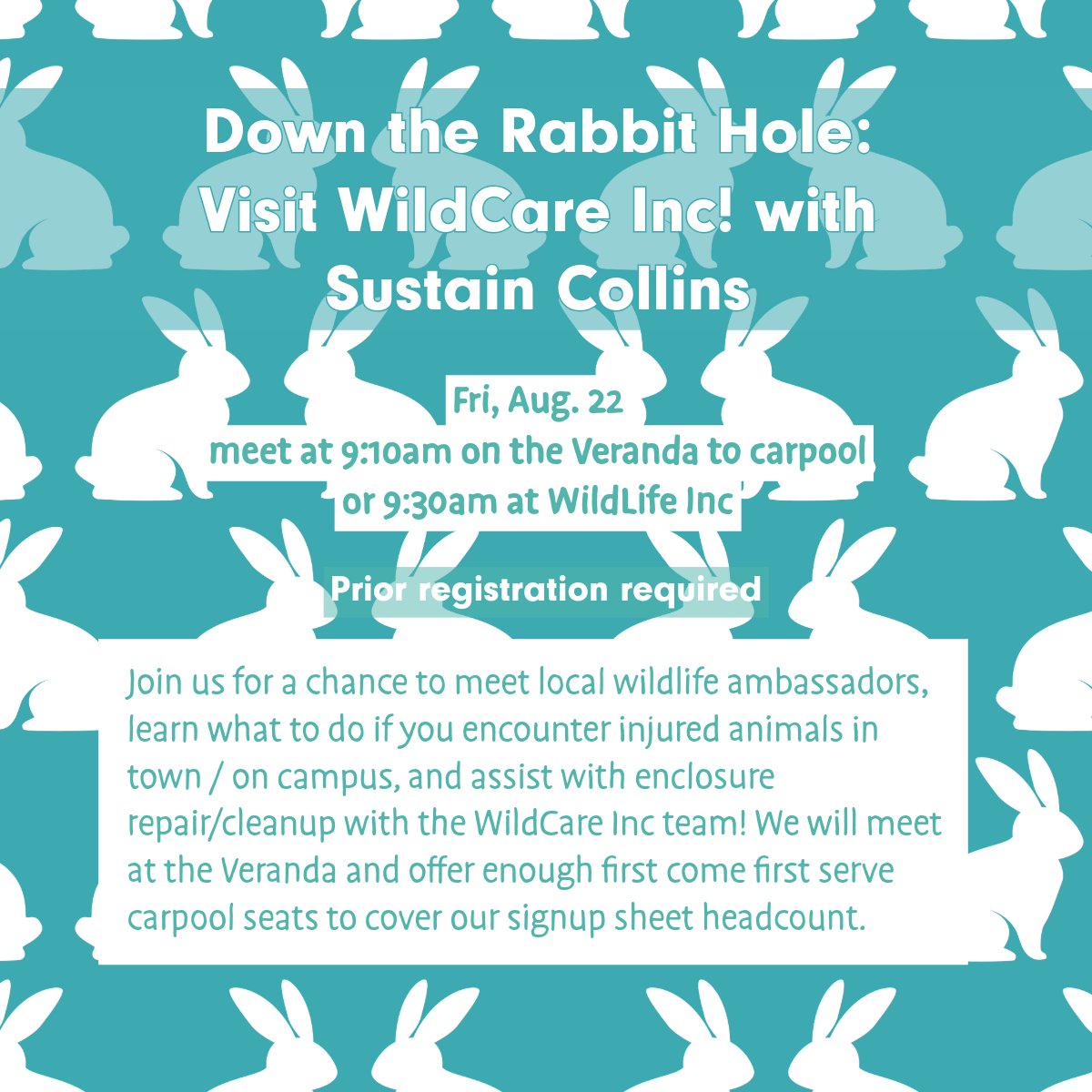 SustainCollins travels down the rabbit hole and across town tomorrow to visit WildLife Inc! One spot left! Register at events.iu.edu/bloomington/ev… #collinsllc #sustaincollins #welcomeweek #downtherabbithole