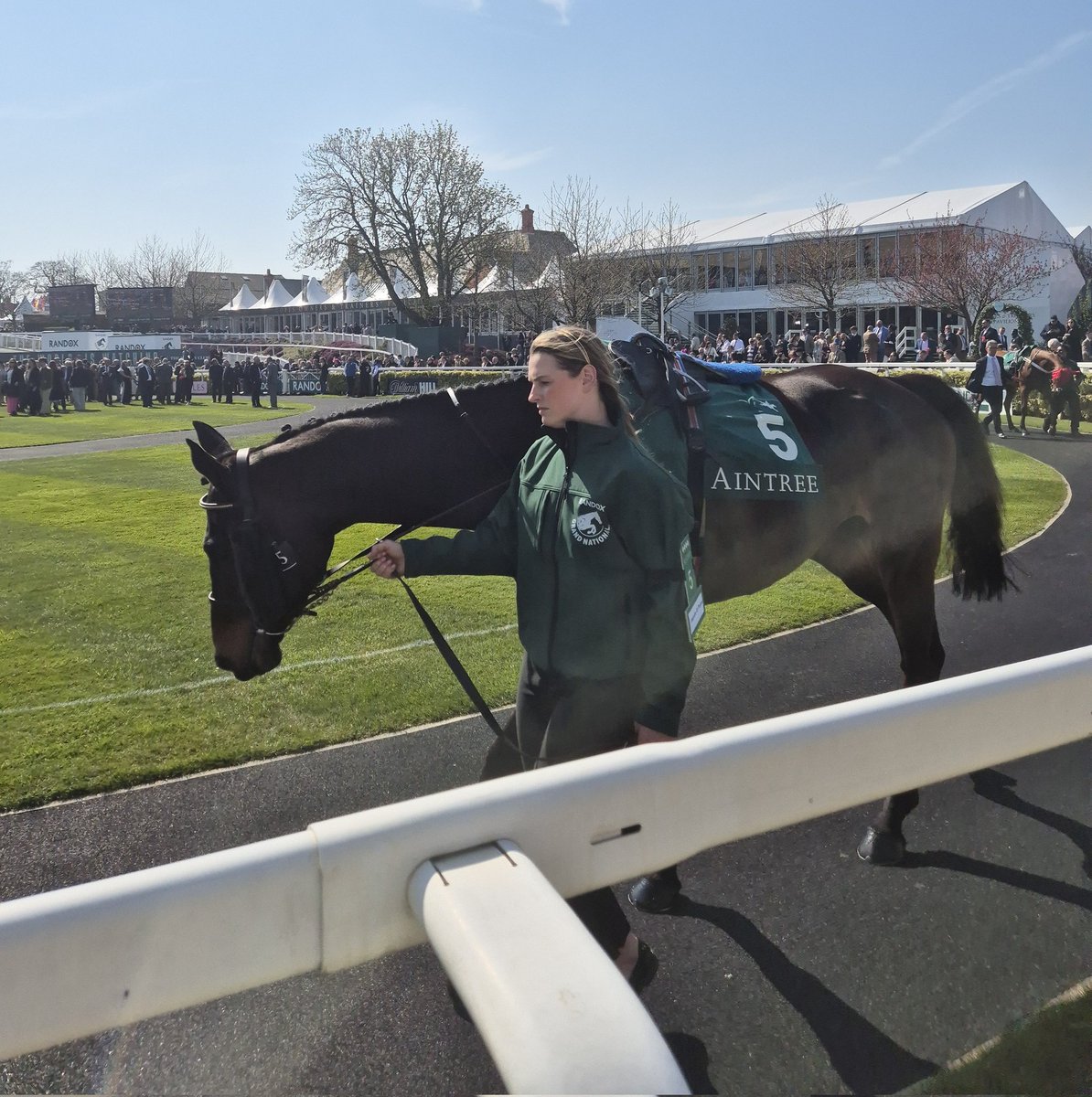 Road To Cheltenham tweet media