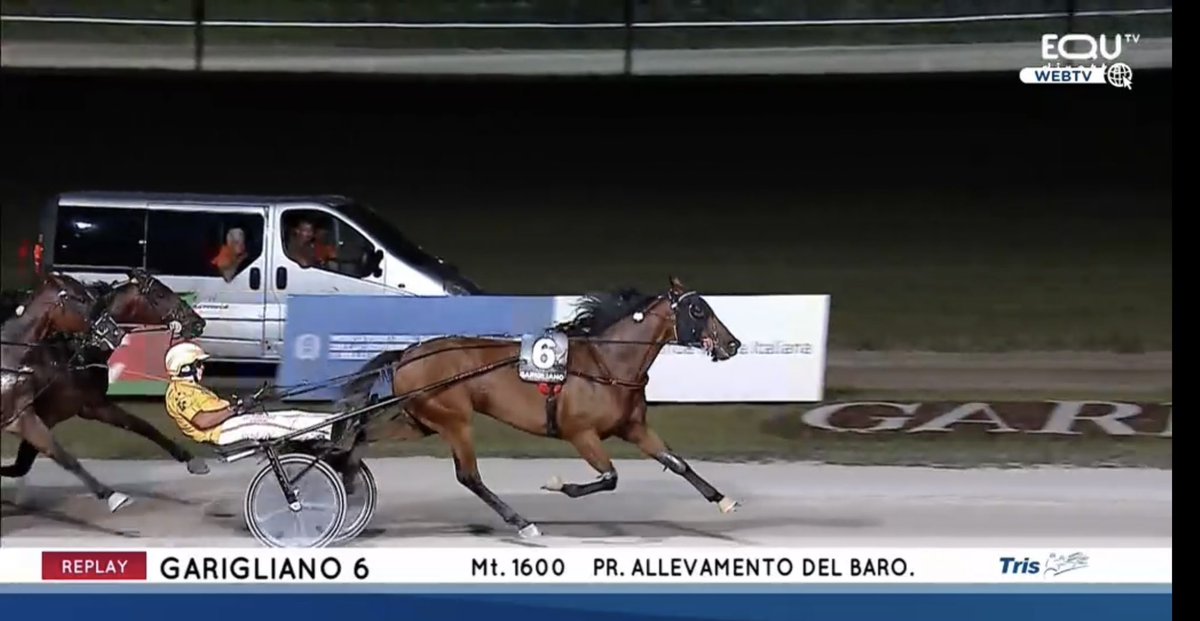 Bros Stables tweet media