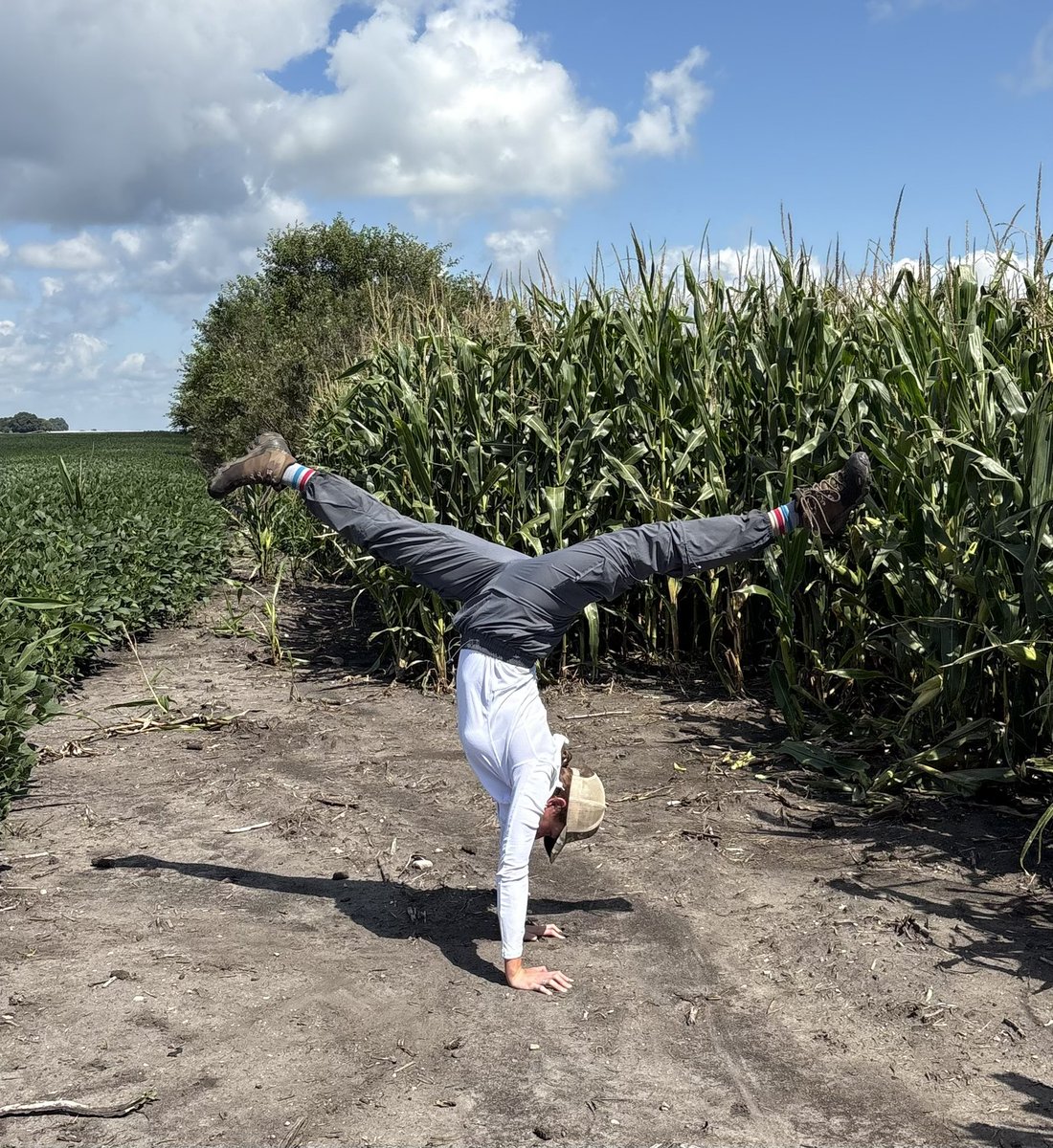 Karen Braun tweet media