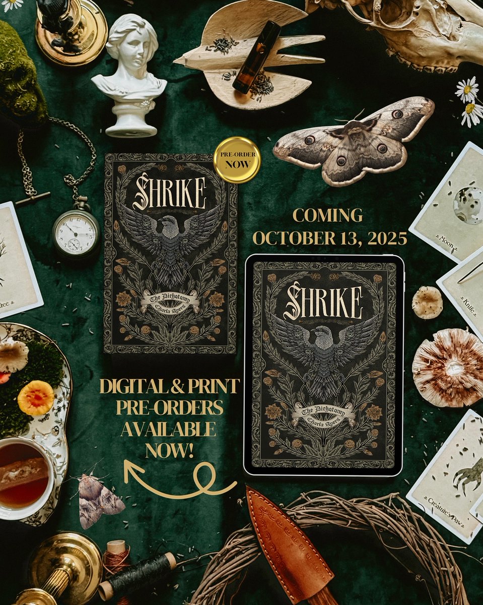 Charla Ayers tweet media