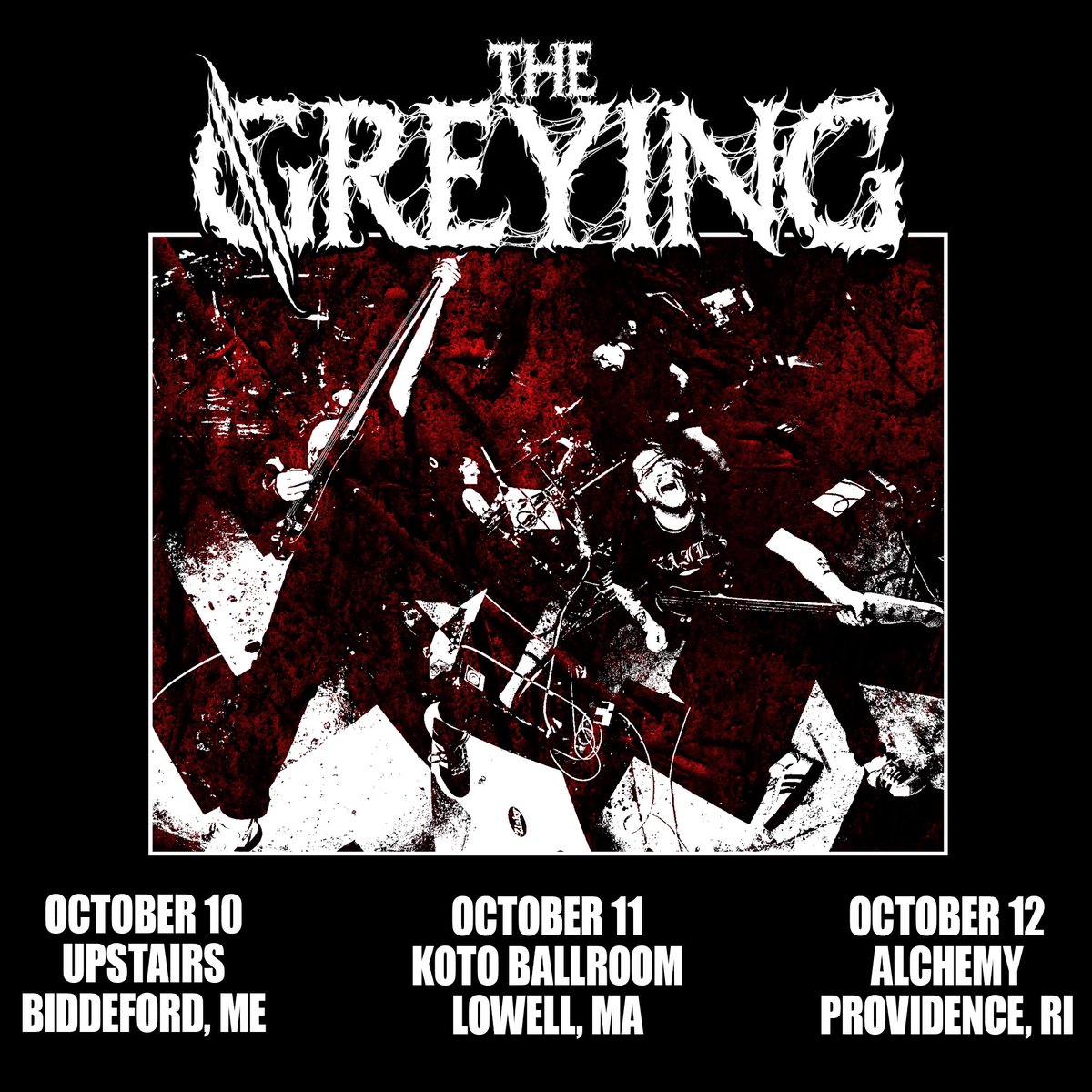 The Greying tweet media