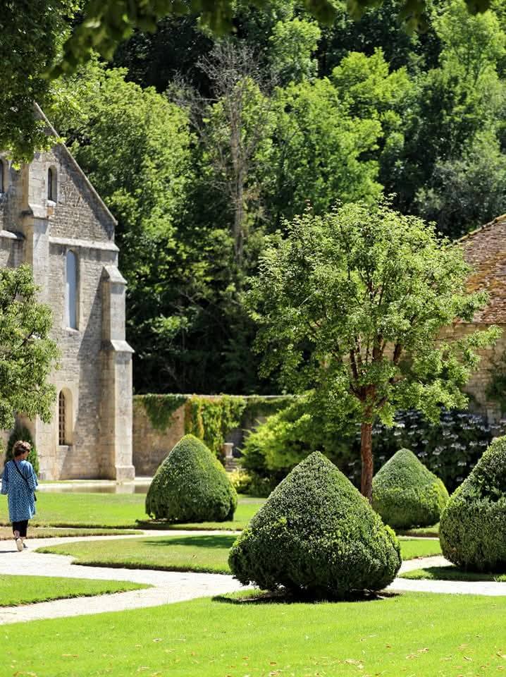🟢 𝗗𝗔𝗡𝗦 𝗟𝗘𝗦 𝗝𝗔𝗥𝗗𝗜𝗡𝗦 🌸 | Après la sérénité des pierres, place à la quiétude des jardins…

À chaque saison, couleurs et lumières se renouvellent pour sublimer l’architecture cistercienne. 🥰 #AbbayedeFontenay

🌐 abbayedefontenay.com