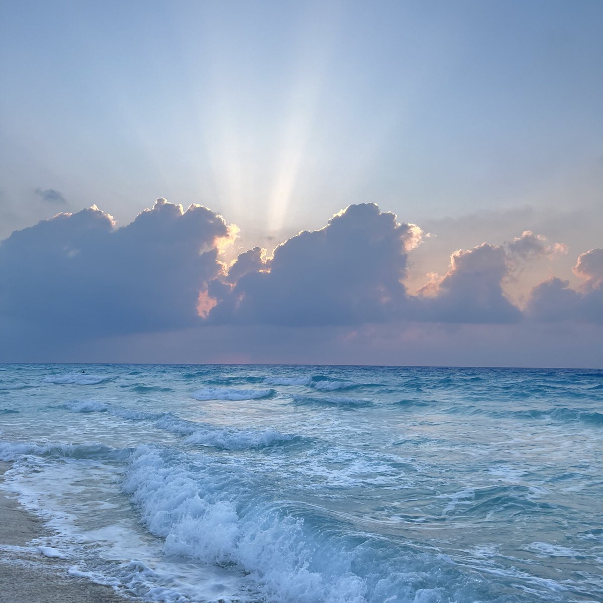 وكأن النظر إلى الطبيعة تسبيح صامت، يهمس: سبحان من خلق فأبدع 🤍.