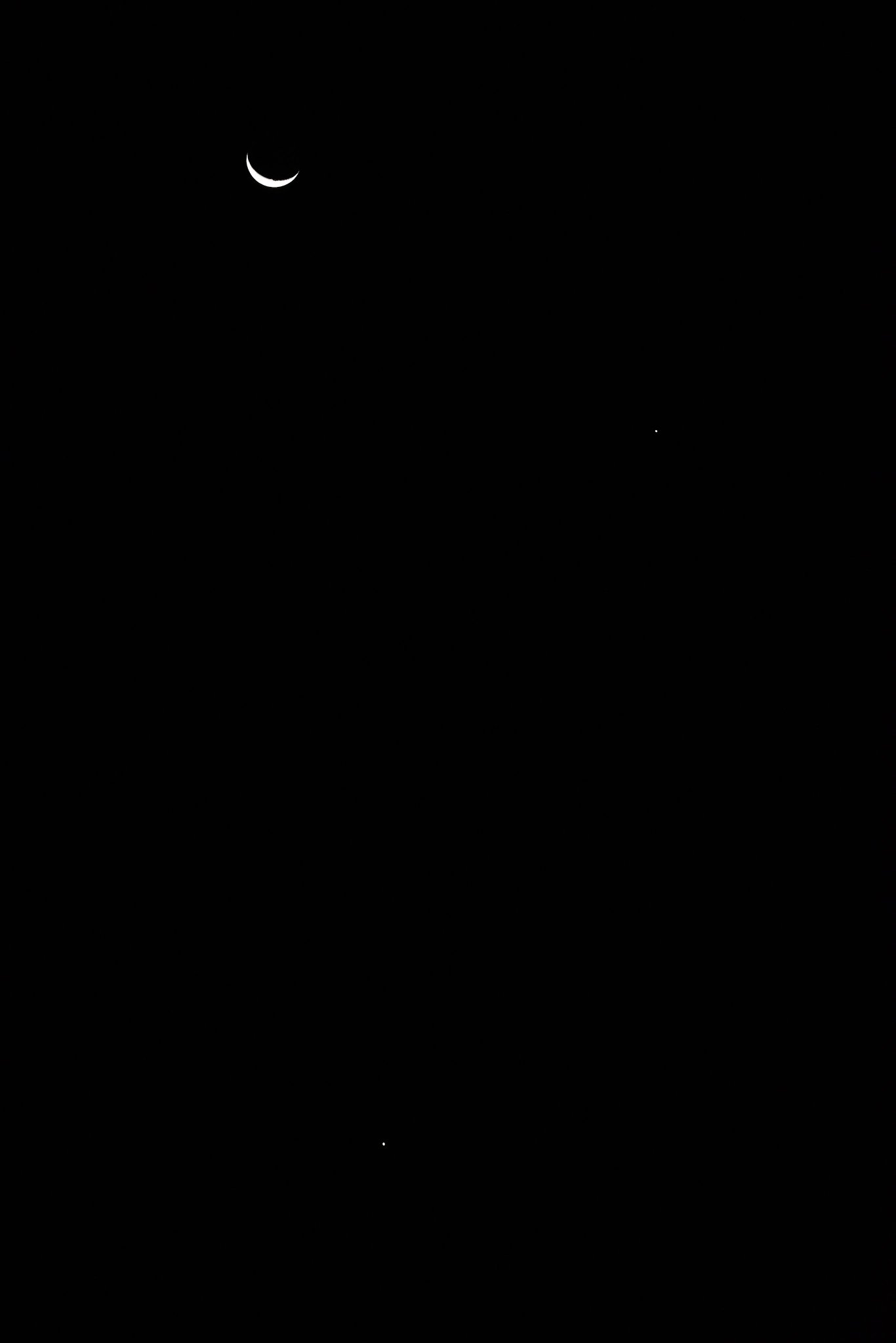 ☪︎ 夜空星月 ☪︎ページ waniwani1968 on X: 