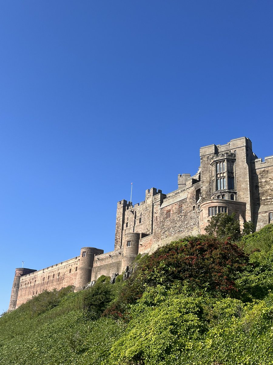 Signe Pike tweet media