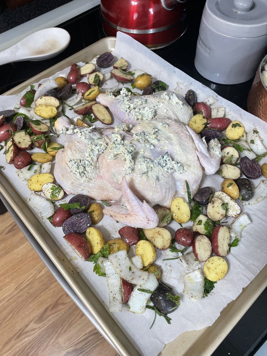 Took a chickens spine out for the first time