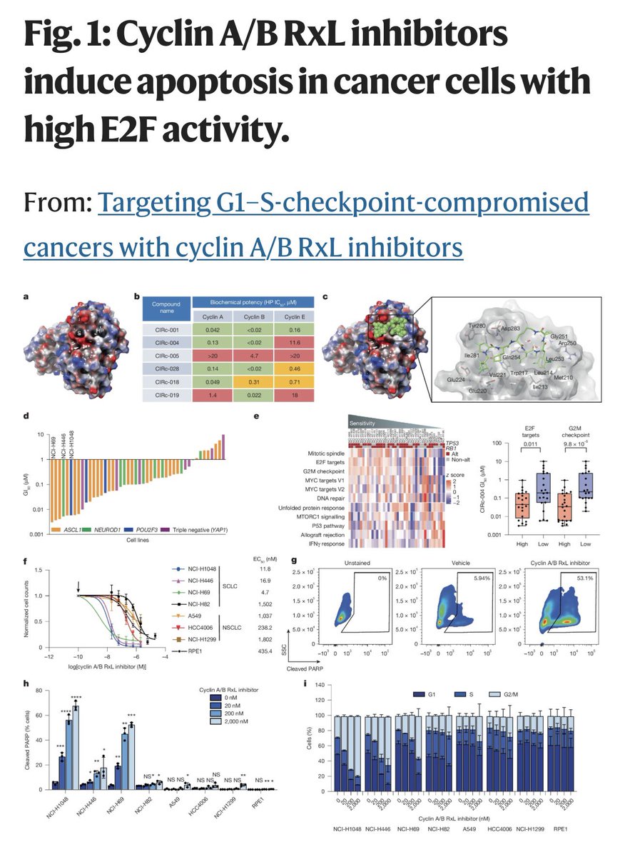 Toni Choueiri, MD tweet media