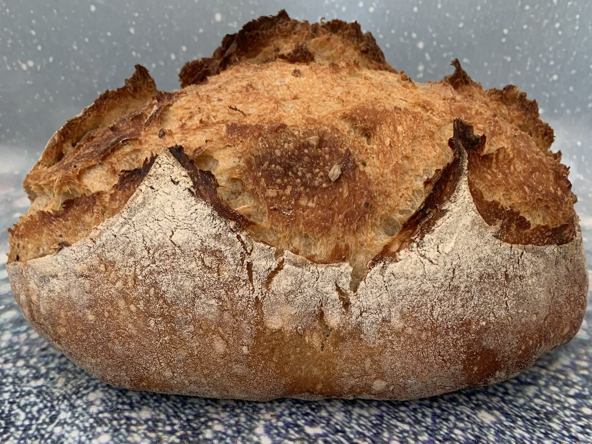 Rob_C_Allen's tweet image. Couple of Sourdough #loaves baked off this afternoon. The 1st is 300g @CotswoldFlour Churchill white &amp;amp; 200g Bibury Barley. The 2nd loaf is 350g Churchill white, 100g Eight grain and 50g Cotswolds crunch. #Artisan #Bread