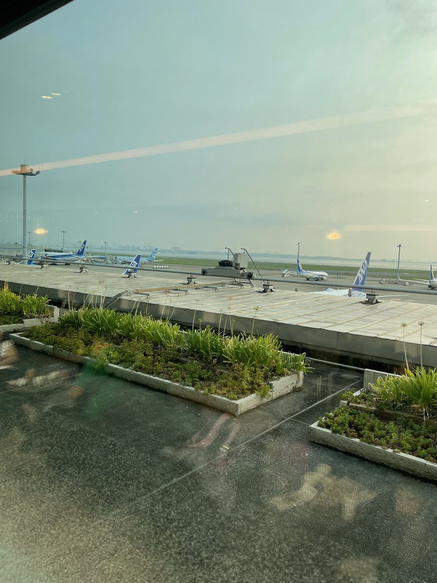 朝6時のラウンドも賑わっています