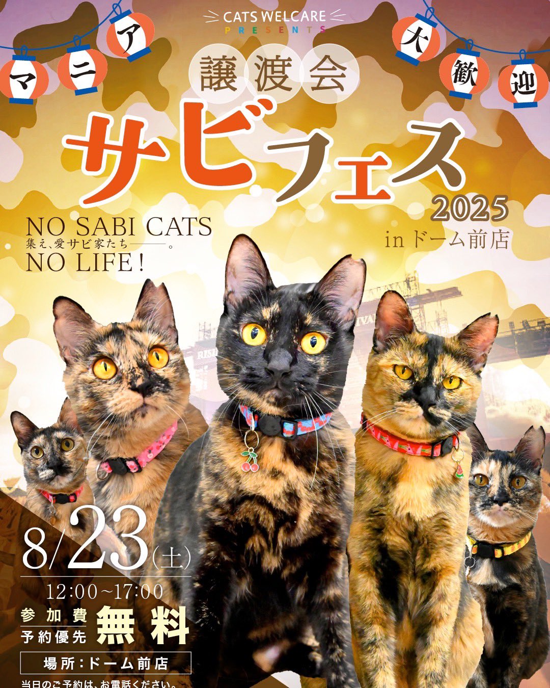 ネコママさま♥️専用 ONEKOSAMA OINUSAMA 猫 キャットタワー 据え置き おしゃれ ねこ