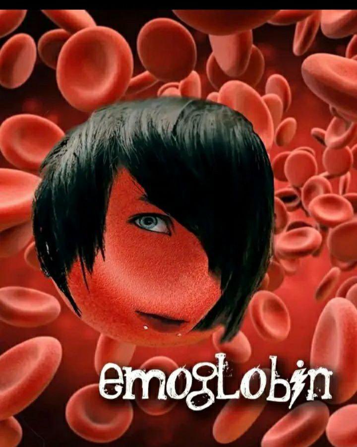 saf seeing bts tweet media