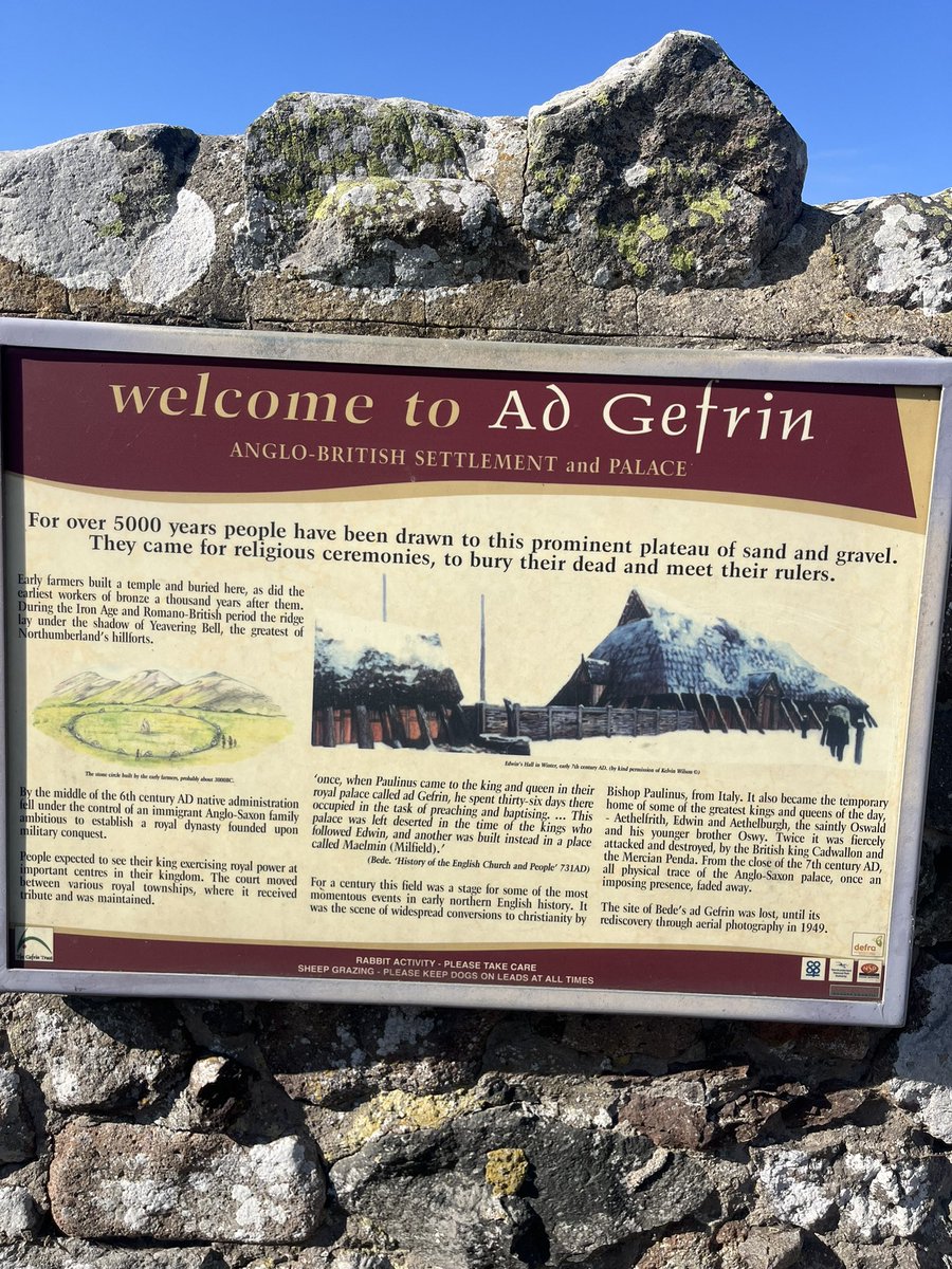 Signe Pike tweet media